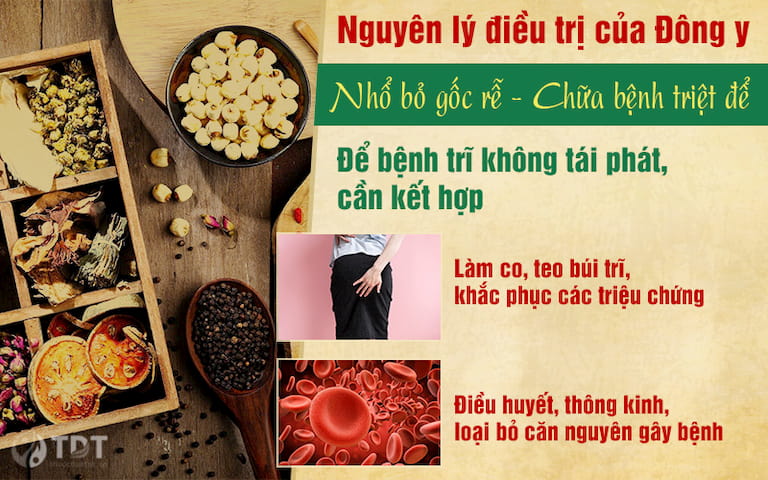 Nguyên lý điều trị bệnh trĩ của Đông y