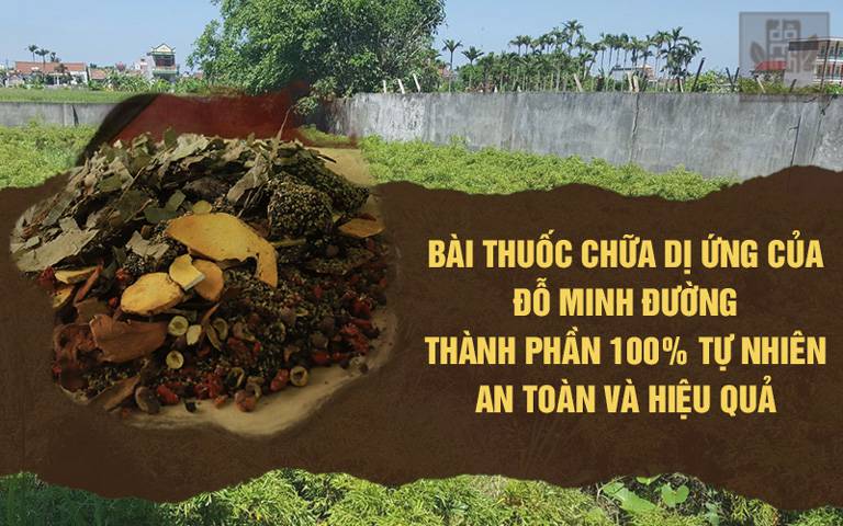 bài thuốc chữa dị ứng của Đỗ Minh Đường thành phần 100% từ tự nhiên