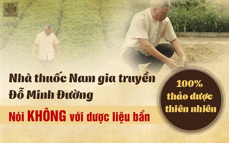 Bài thuốc bào chế 100% từ thiên nhiên, an toàn và lành tính với sức khỏe