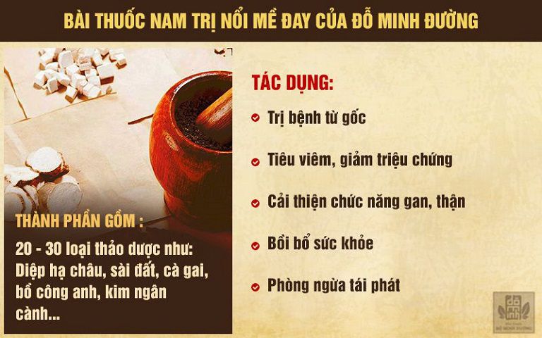 Bài thuốc chữa nổi mề đay hiệu quả của Đỗ Minh Đường