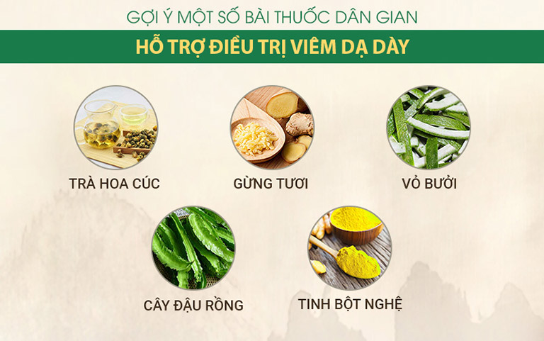 Một số vị thuốc dân gian tốt cho người bị bệnh dạ dày