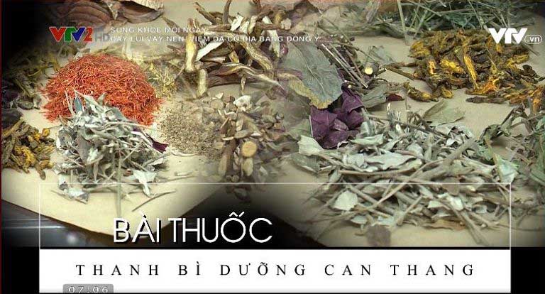 Bài thuốc Thanh bì dưỡng can thang được giới thiệu trên VTV2