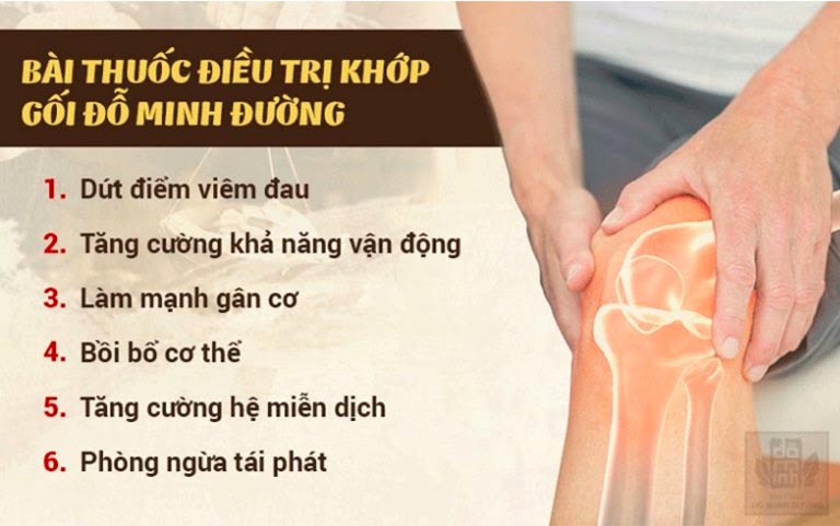 Bài thuốc trị khớp gối đỗ minh đường