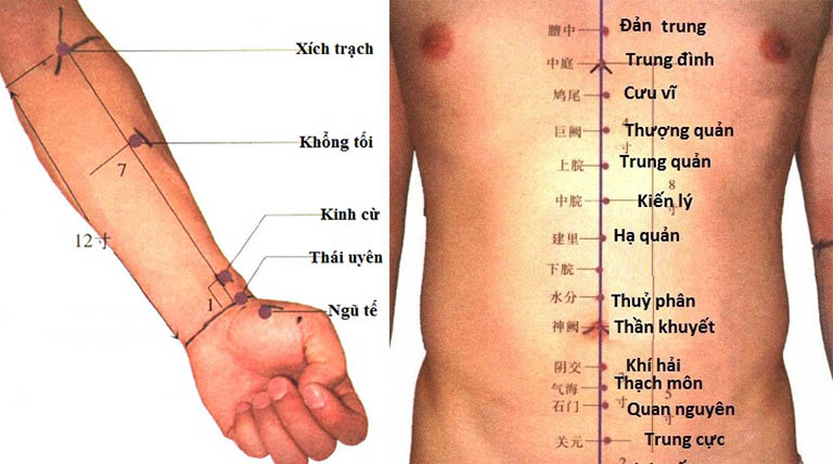 cách bấm huyệt chữa ho có đờm