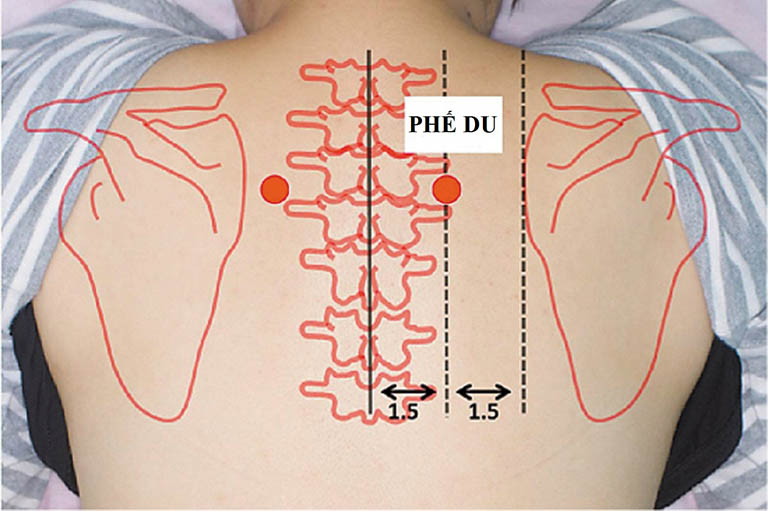 cách bấm huyệt chữa ho có đờm