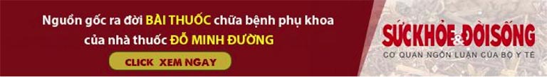 Banner đỗ minh đường suckhoedoisong