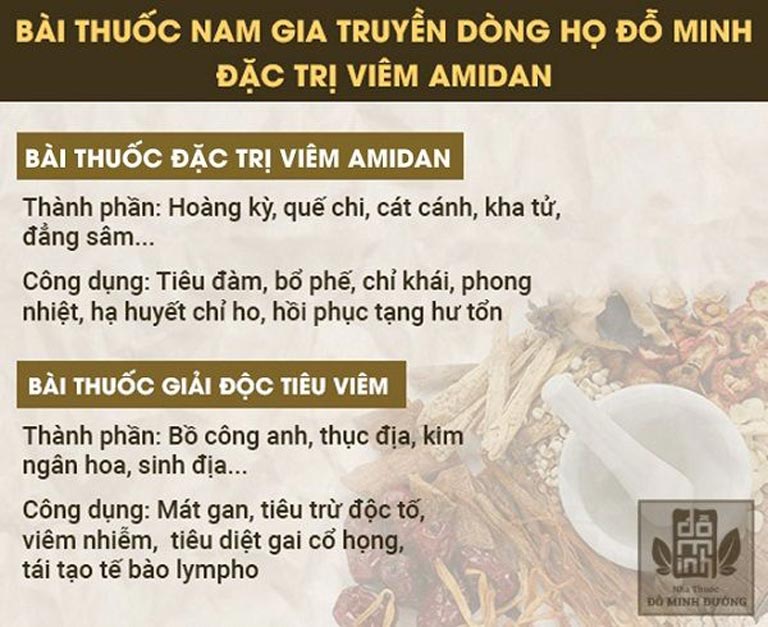 Bài thuốc nam chữa viêm amindan Đỗ Minh Đường