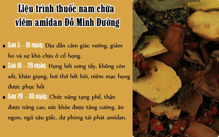 Hiệu quả thuốc nam Đỗ Minh Đường chữa viêm amidan