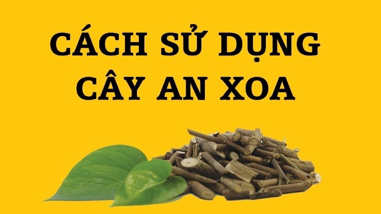 cây an xoa