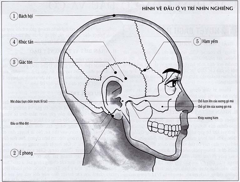 Bấm huyệt chữa bệnh trĩ