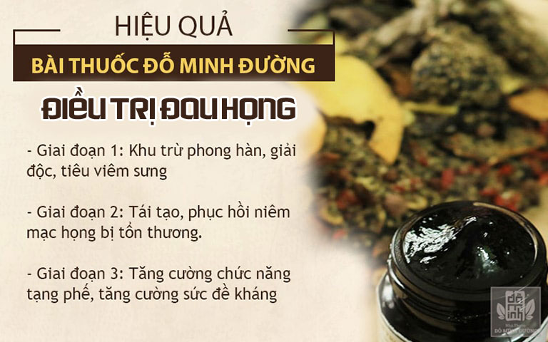 Hiệu quả bài thuốc chữa đau họng Đỗ Minh Đường