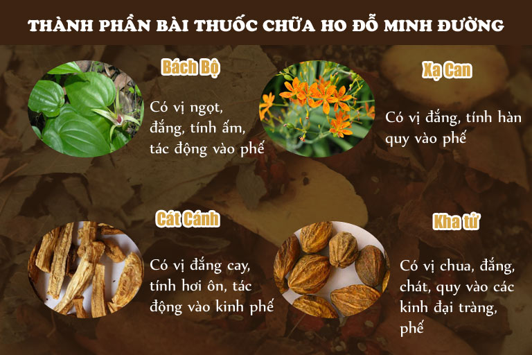 Các thành phần chính trong bài thuốc