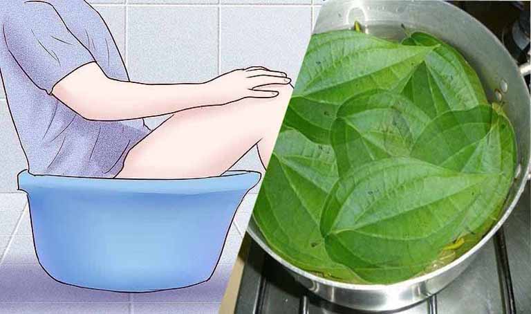 Mẹo chữa nấm Candida bằng lá trầu không cực đơn giản