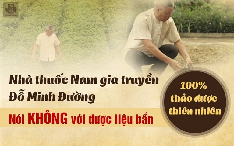 Từ lâu nhà thuốc đã tập trung phát triển nguồn dược liệu sạch