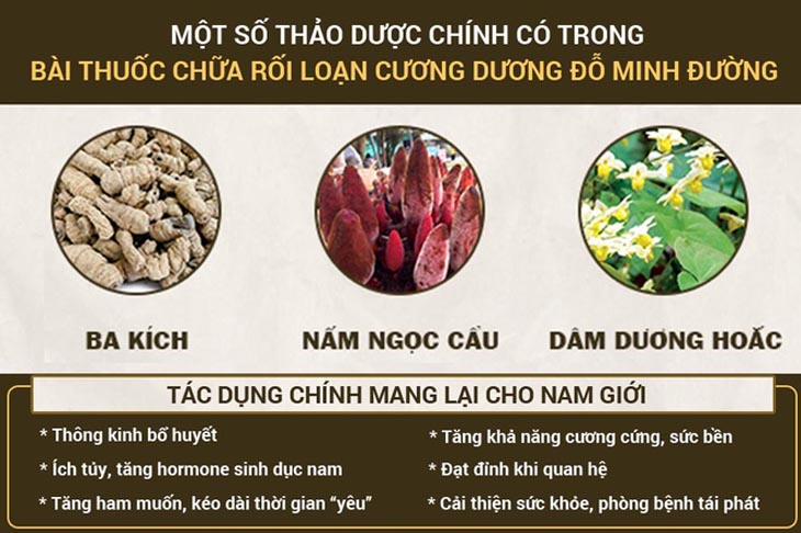 bài thuốc rối loạn cương dương Đỗ Minh Đường