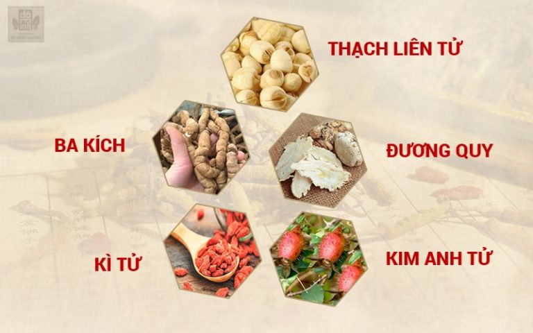 Các thành phần trong bài thuốc tăng cường sinh lý nam Đỗ Minh Đường