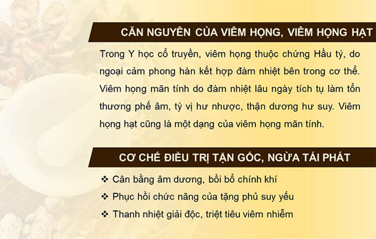 Căn nguyên gây viêm họng, viêm họng hạt