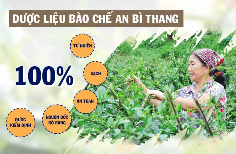 Nguyên liệu trong bài thuốc An Bì Thang đều đảm bảo 100% tự nhiên