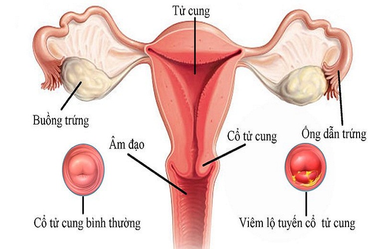 Quan hệ cuối kỳ kinh nguyệt có thai không