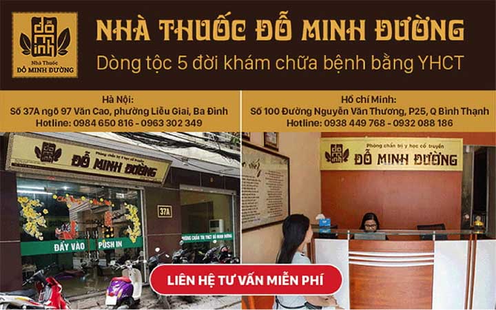 Banner nhà thuốc đỗ minh đường sinh lý