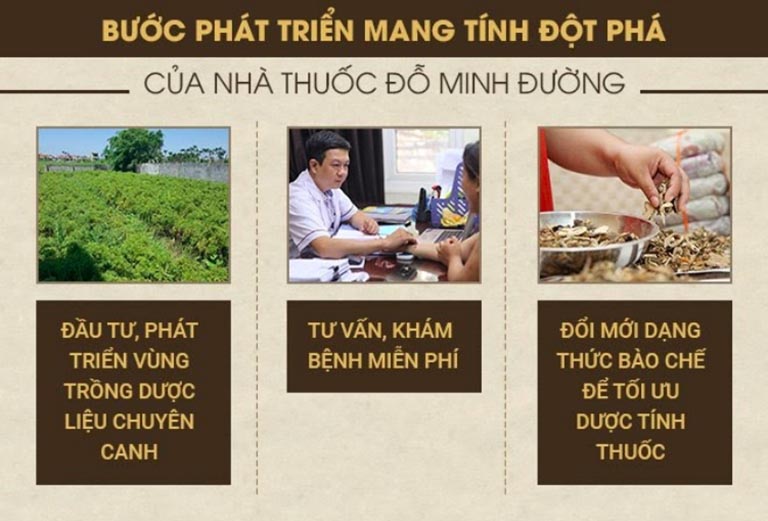 Phát triển dược liệu đỗ minh đường