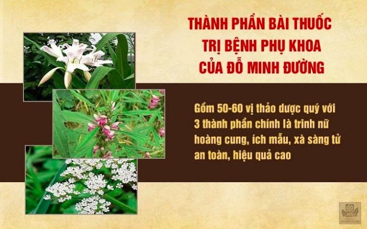 Phụ khoa đỗ minh đường thảo dược