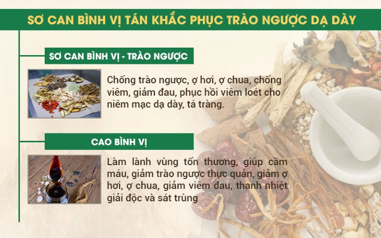 2 chế phẩm giúp khắc phục trào ngược dạ dày trong Sơ can Bình vị tán