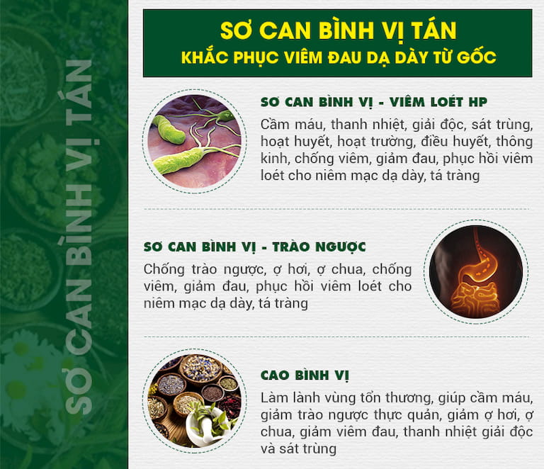 Công dụng của các chế phẩm trong Sơ can Bình vị tán