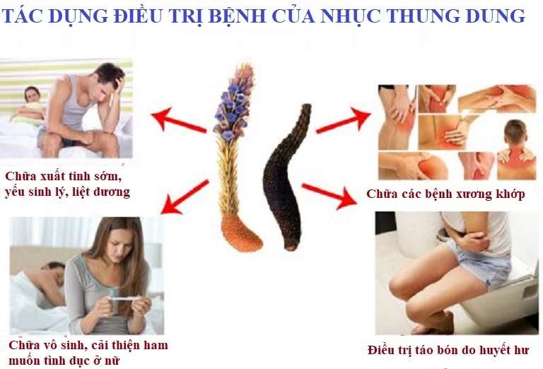 Nhục thung dung được dùng để điều trị nhiều bệnh lý khác nhau