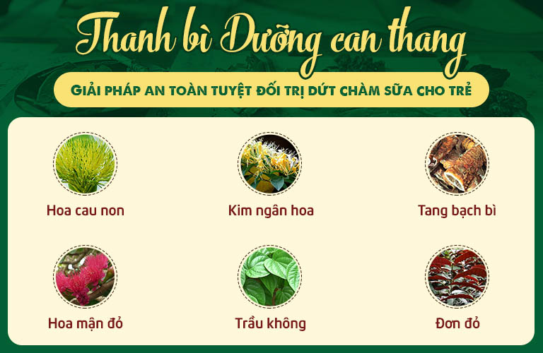 Thành phần bài thuốc Thanh bì dưỡng can thang