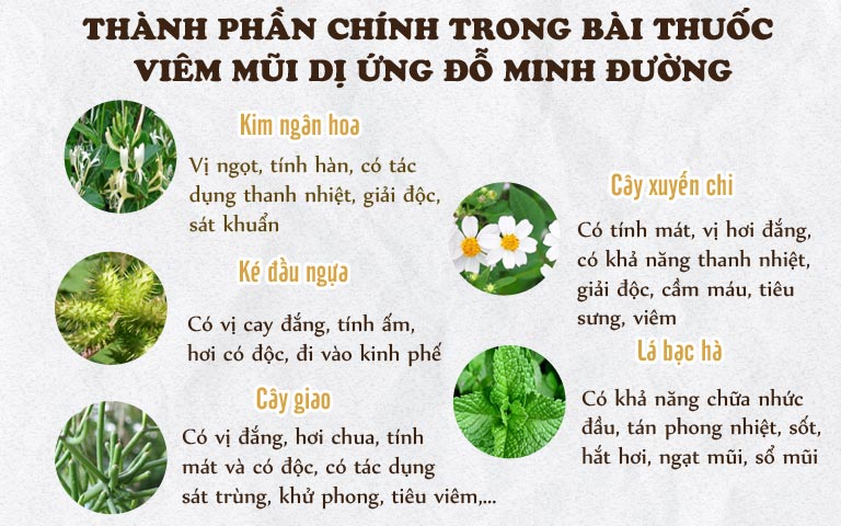 Một số thành phần thảo dược trong bài thuốc