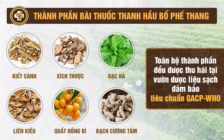 Thành phần của bài thuốc Thanh Hầu Bổ Phế Thang