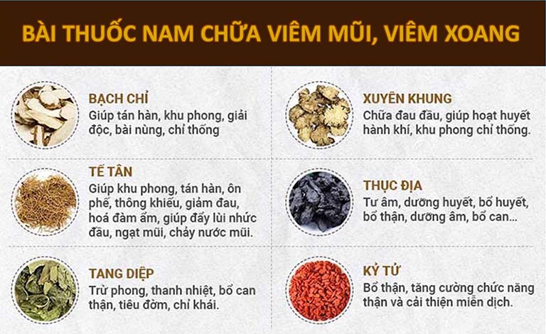 Bài thuốc được chắt lọc từ 20-30 thảo dược quý