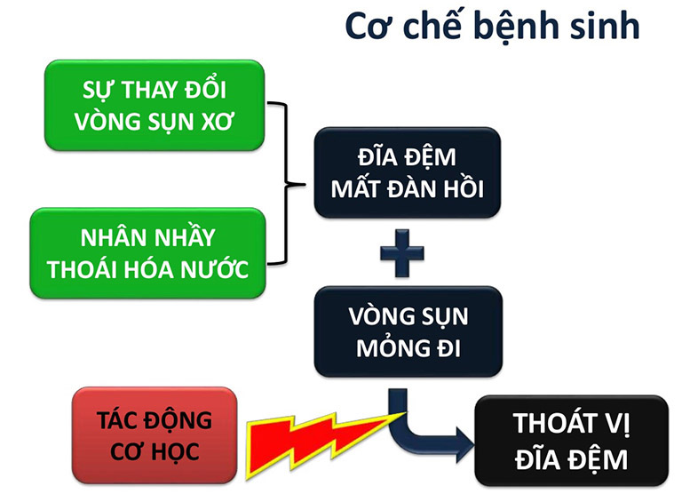 nguyên nhân gây thoát vị đĩa đệm