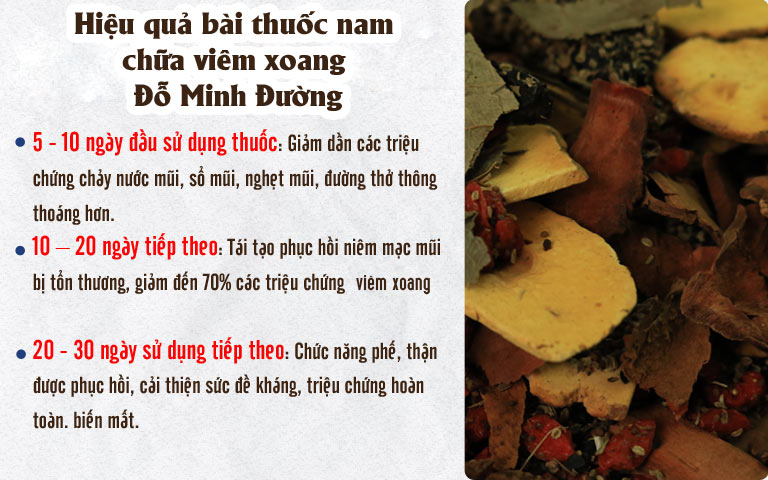 Thuốc nam Đỗ Minh Đường chữa viêm xoang hiệu quả