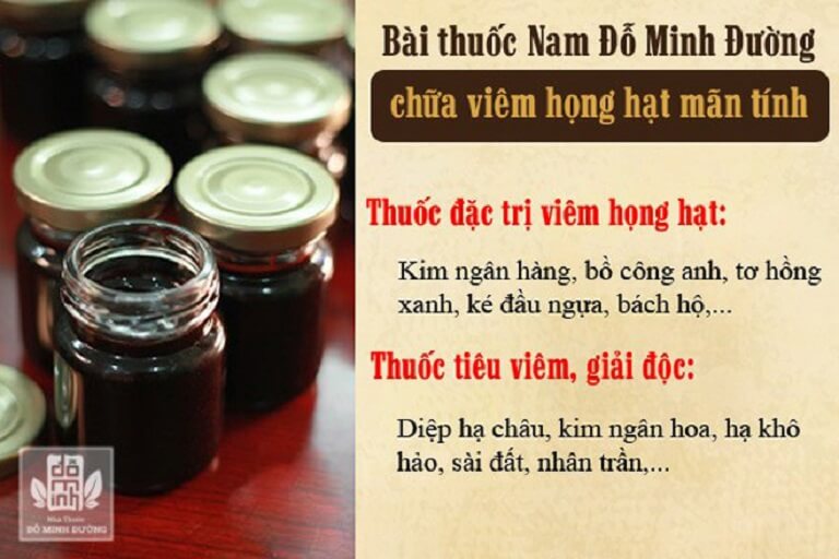 Bài thuốc chữa viêm họng hạt đỗ minh đường