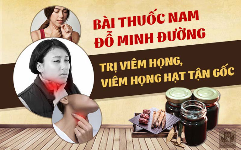 Bài thuốc chữa viêm họng hạt Đỗ Minh Đường