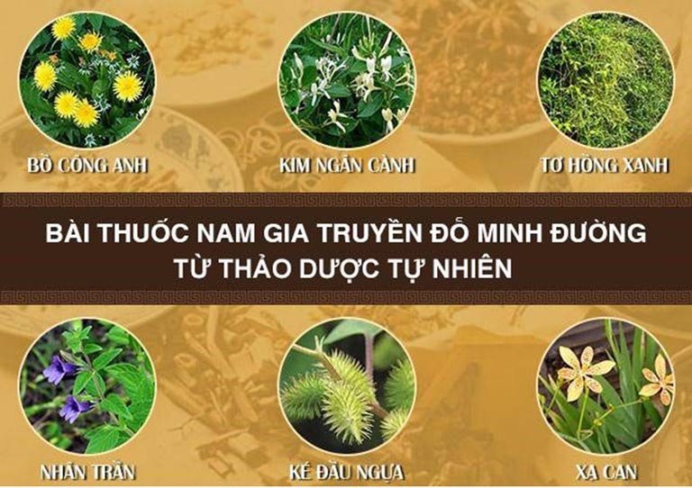 Một số thành phần thảo dược chính trong bài thuốc