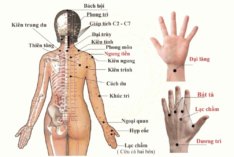 Hướng dẫn thực hiện