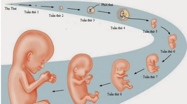 thuốc phá thai 1 tháng