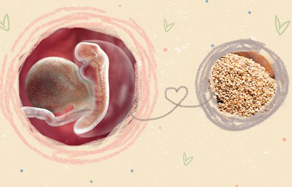 Thai 4 tuần tuổi phát triển như thế nào