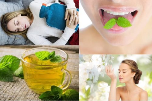 Ăn gì giúp giảm đau bụng kinh nguyệt nhanh nhất – Lá bạc hà