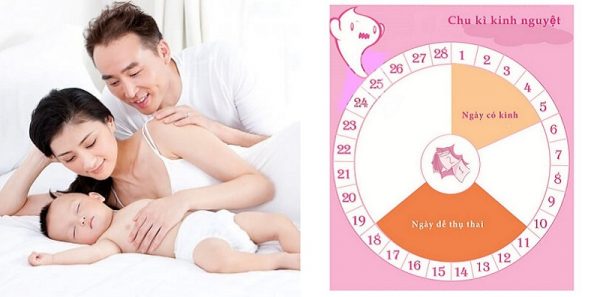 Cách tính chu kỳ kinh nguyệt để dễ thụ thai và sinh con trai