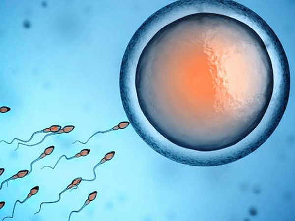 Quan hệ khi có kinh nguyệt ngày cuối có thai không